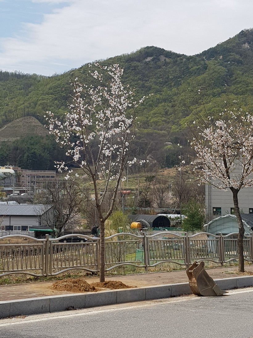 7bd6c952f27b6545d4c9b6b2c96ad67a_1526543