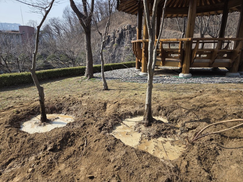 ca5553daa92136837fcca8bd2f78705c_1774512